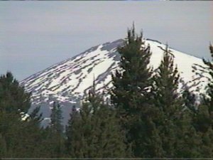 Mtbachelor.jpg (16452 bytes)