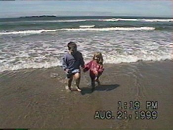 beach.jpg (20373 bytes)