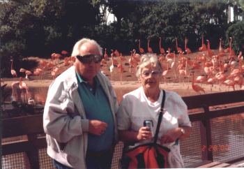 momdadflamingos.jpg (20128 bytes)